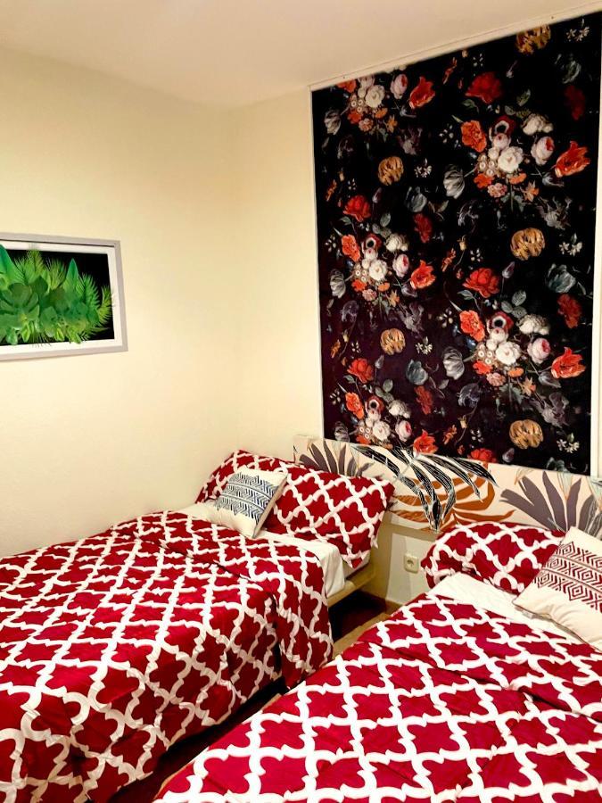 Sol Montera & Parking Tph Bed & Breakfast Madrid Luaran gambar